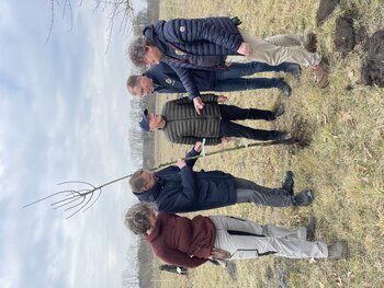 Lions Club Obstbäume Pflanzen