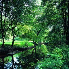 Natur Oste bei Weertzen